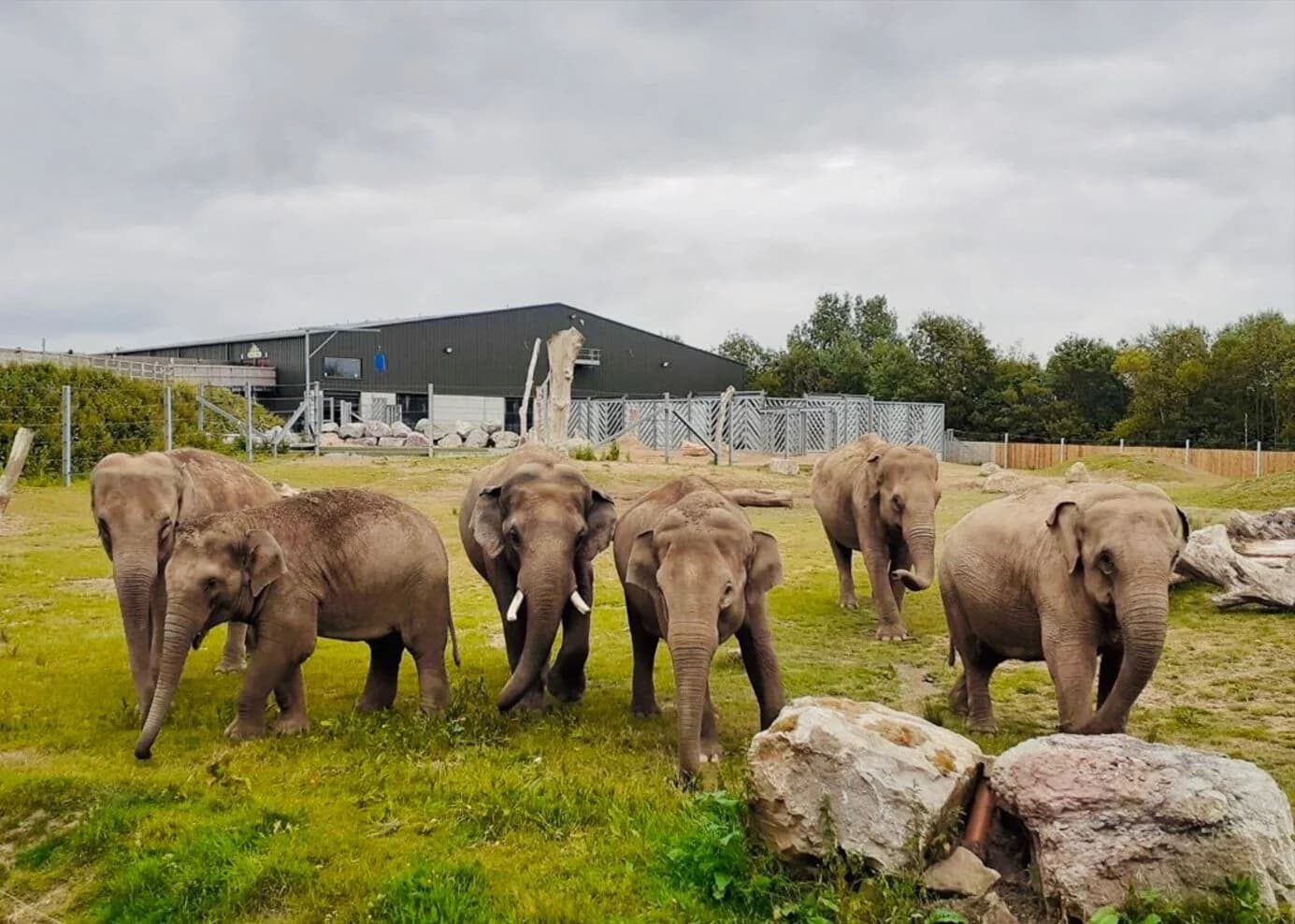 Blackpool Zoo